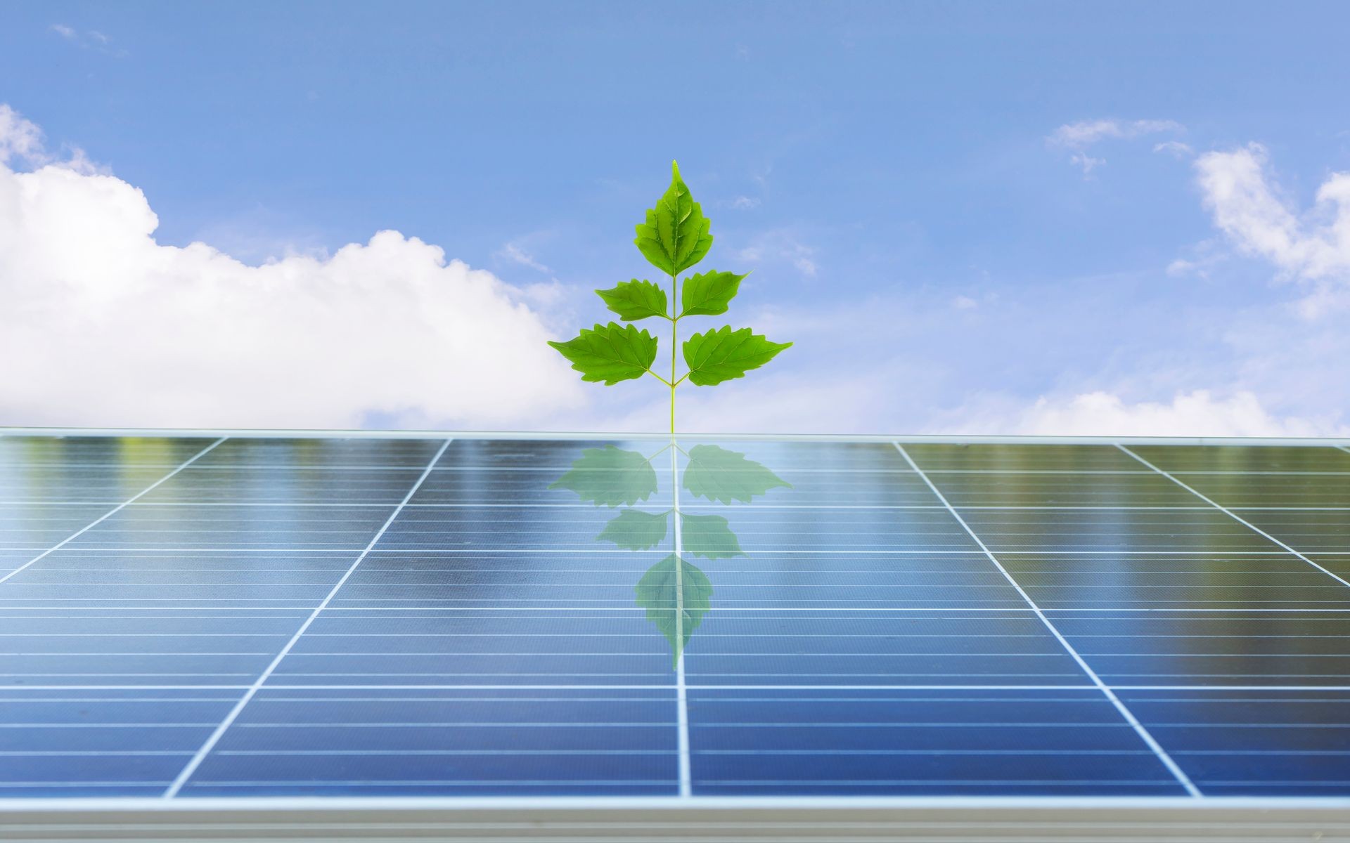 Solar cell with natural concept and green leaf background